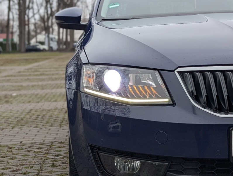 Автомобілі Hyundai м. Полтава | Купити новий Хюндай | Хюндай Центр Полтава - фото 13